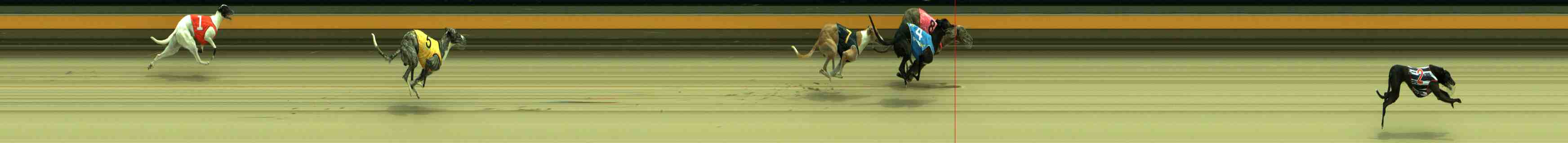 Race result finish photo